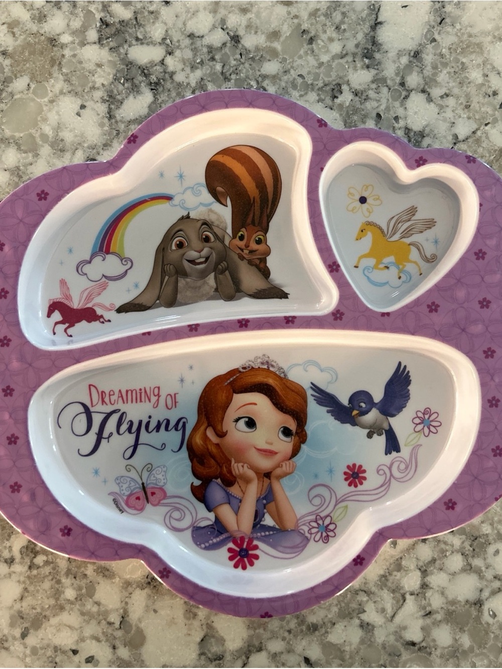 Kids Divided Dinner Plate with Purple Princess Design